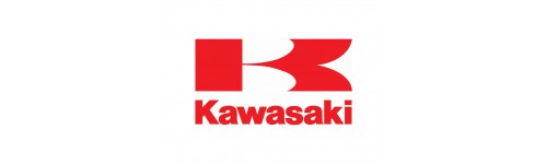 Kawasaki