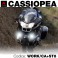 Faretti Cassiopea BMW R1200 RT